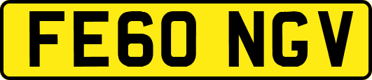 FE60NGV