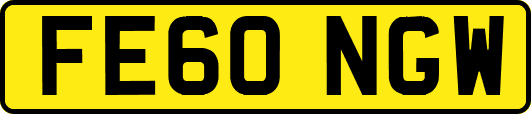 FE60NGW