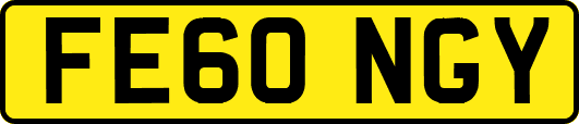 FE60NGY