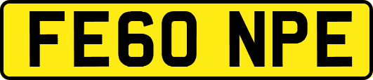 FE60NPE