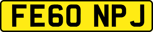 FE60NPJ