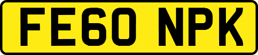 FE60NPK