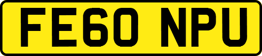 FE60NPU