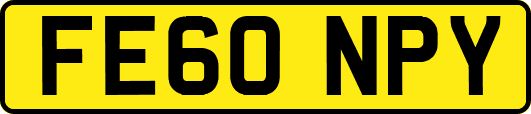 FE60NPY