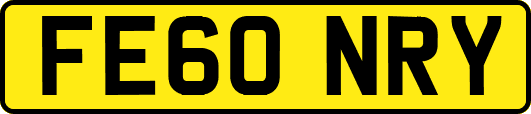 FE60NRY