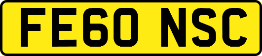 FE60NSC