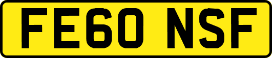 FE60NSF