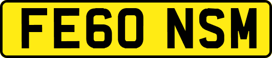FE60NSM