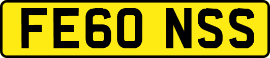 FE60NSS