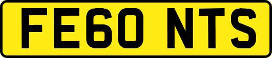 FE60NTS
