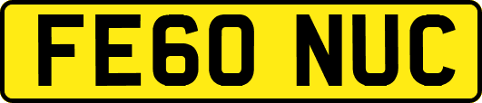 FE60NUC
