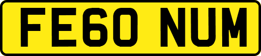 FE60NUM