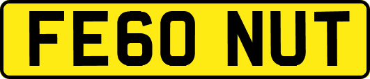 FE60NUT