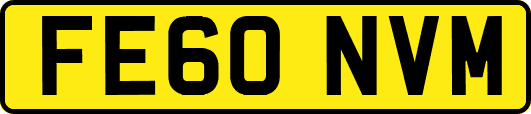 FE60NVM