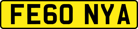 FE60NYA