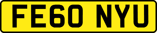 FE60NYU