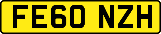 FE60NZH