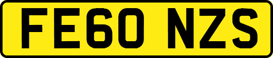FE60NZS