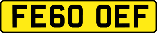 FE60OEF