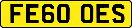 FE60OES