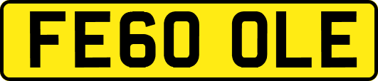 FE60OLE