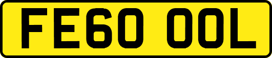 FE60OOL
