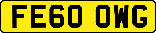 FE60OWG