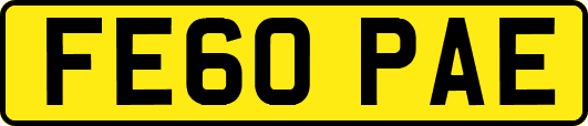 FE60PAE