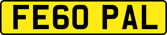 FE60PAL