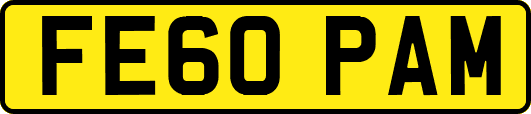 FE60PAM