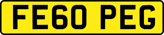 FE60PEG