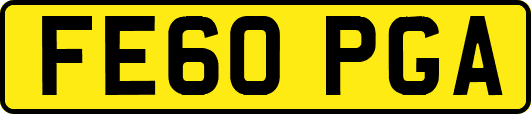 FE60PGA