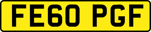 FE60PGF