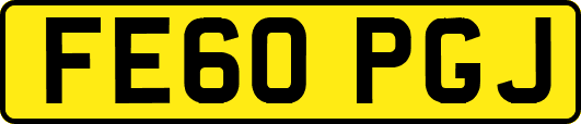 FE60PGJ