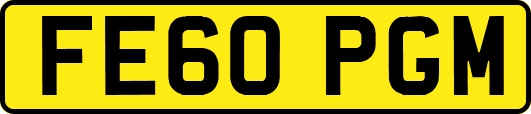 FE60PGM