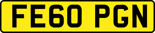 FE60PGN