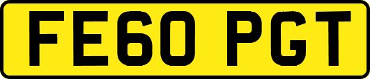 FE60PGT
