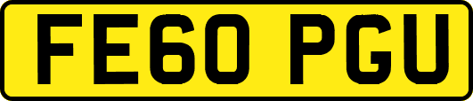 FE60PGU