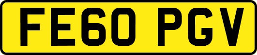 FE60PGV