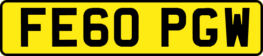 FE60PGW