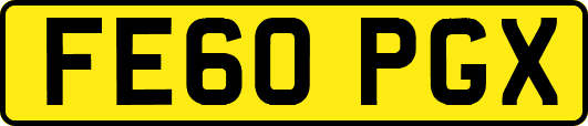 FE60PGX