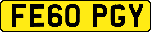 FE60PGY