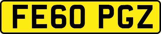 FE60PGZ