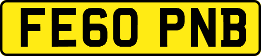 FE60PNB