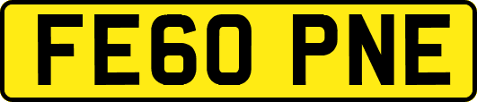 FE60PNE
