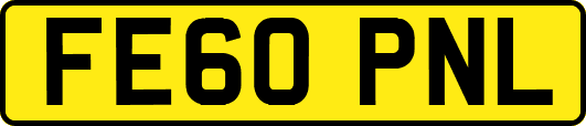 FE60PNL