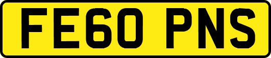 FE60PNS