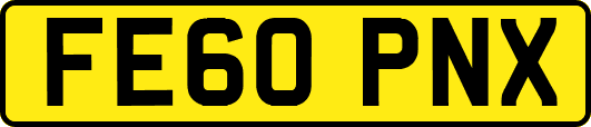 FE60PNX