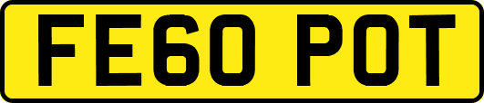 FE60POT