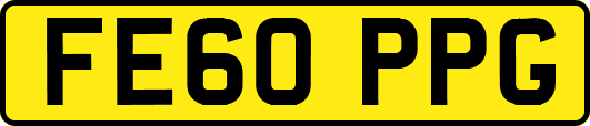 FE60PPG